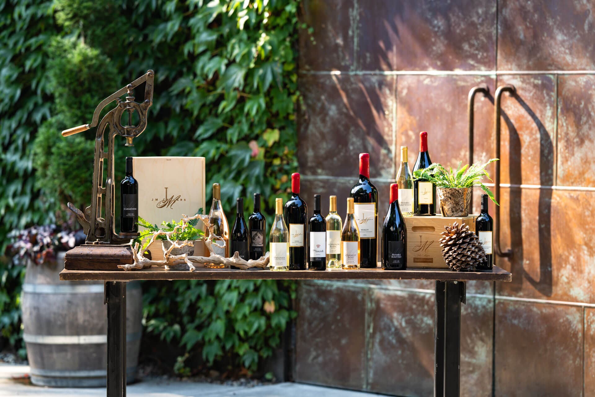 JM Cellars: Photography & Video, image 4 of 8