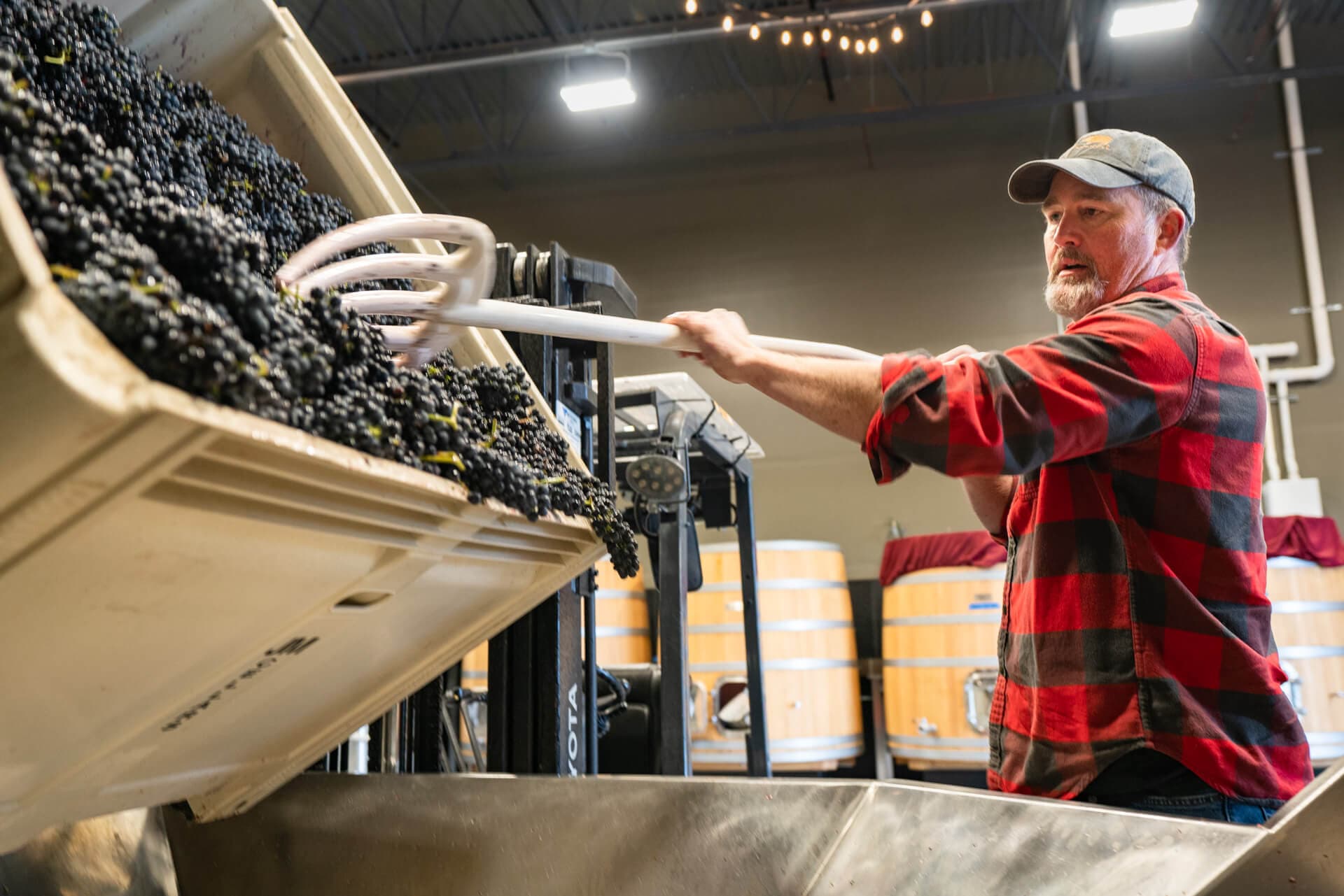 JM Cellars: Photography & Video, image 5 of 8